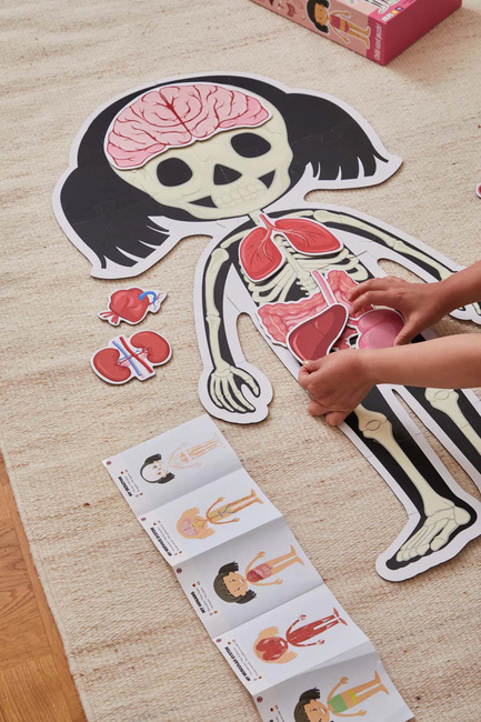 Barbo Toys Body Puslespil Pige 36 Brikker