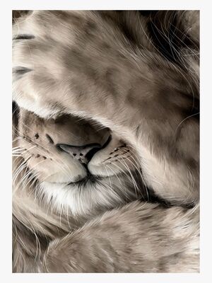 Linn Wold Plakat 30x40 Leo