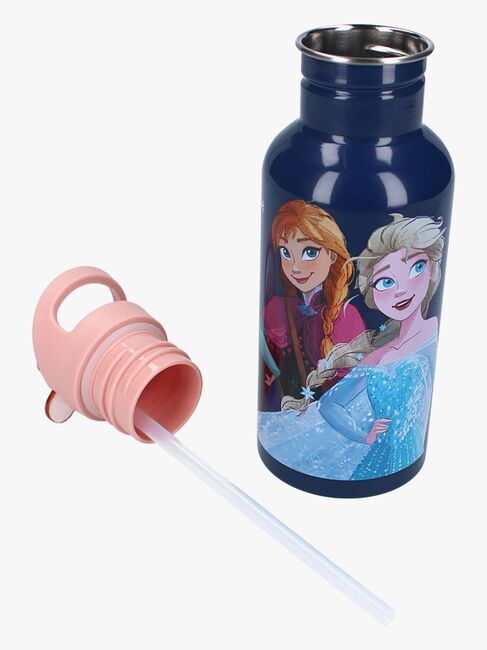 Disney Frozen 2 Drikkedunk 500ml Take A Sip, Blå