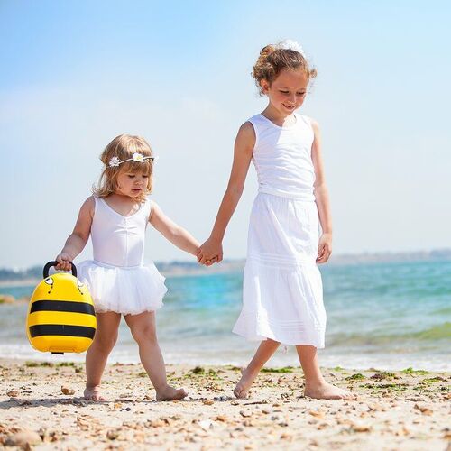 My Carry Potty Potte Bumblebee