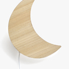 2136154_35142-moon-3867_1.jpg