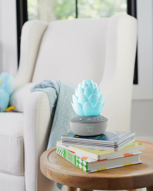 SkipHop Sukkulent Natlampe med Grædesensor