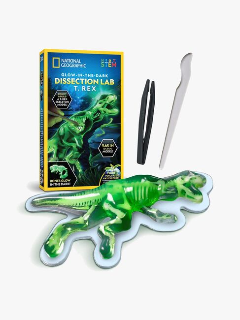 National Geographic Dissektionslab T. Rex 29-246DIS-2-1148_1.jpg