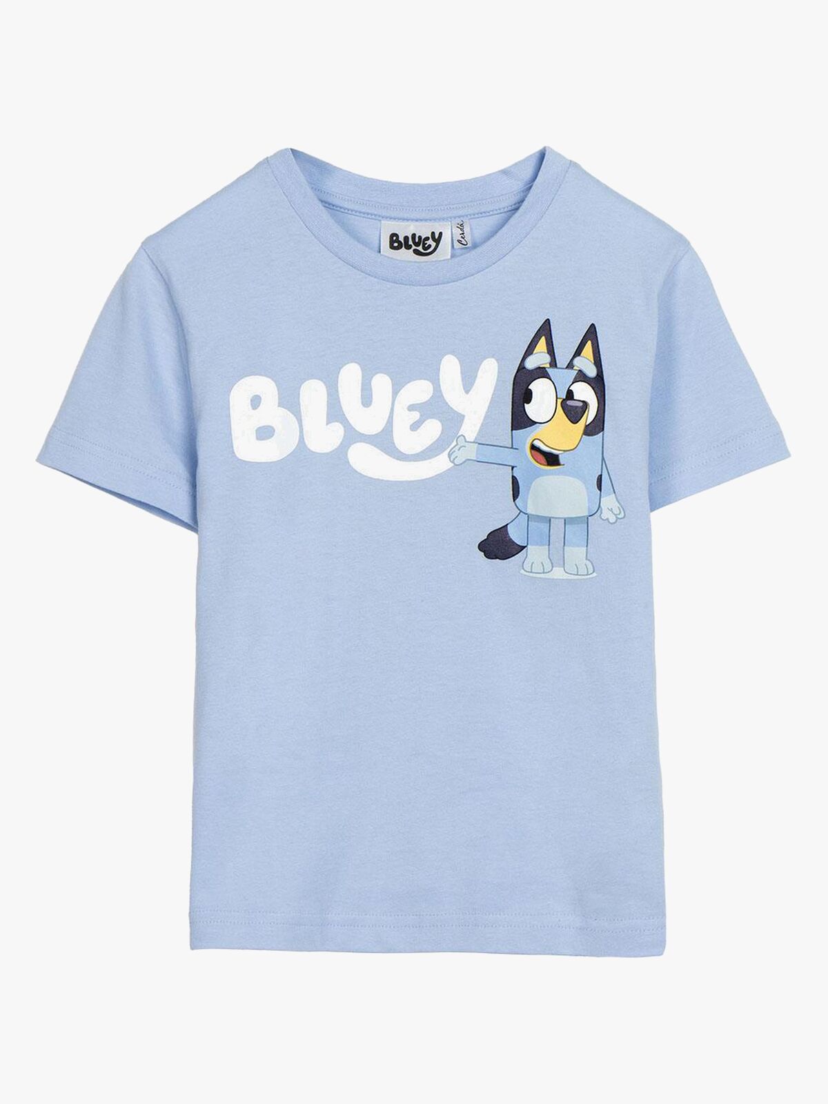 2900002629-BLUEY-4656_1.jpg