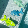 Dykleksak-SaltytheShark-4623_5.jpg