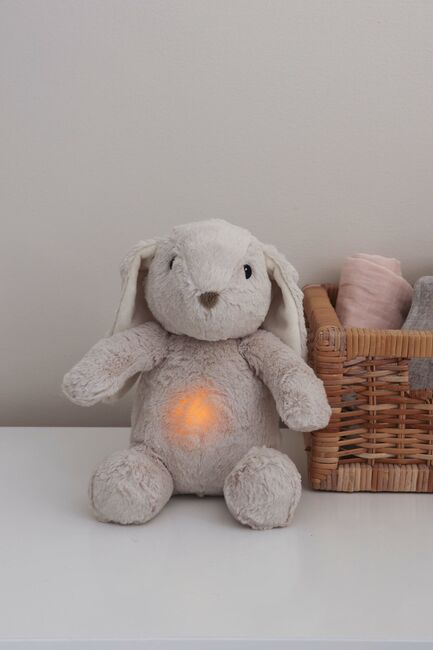 Cloud B Love Light Billy Natlampe, Kanin