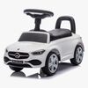 MERCEDESRIDEON5901761127188-2512_1.jpg