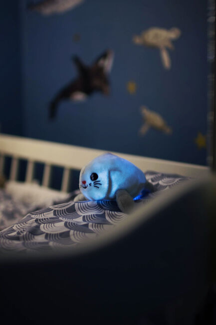 Pabobo Skakis Natlampe Sæl