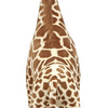 Melissa_Och_Doug_Mjukisdjur_Giraff_2.PNG