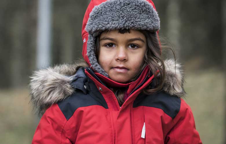 björnen-röd_780X500.jpg