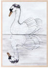 That's Mine Poster Swan Reflection 30x40