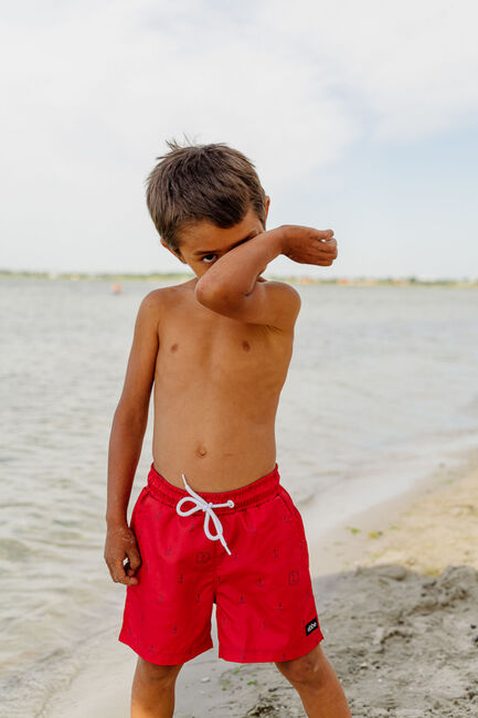 Ebbe Haspen Badeshorts, Blue Anchors